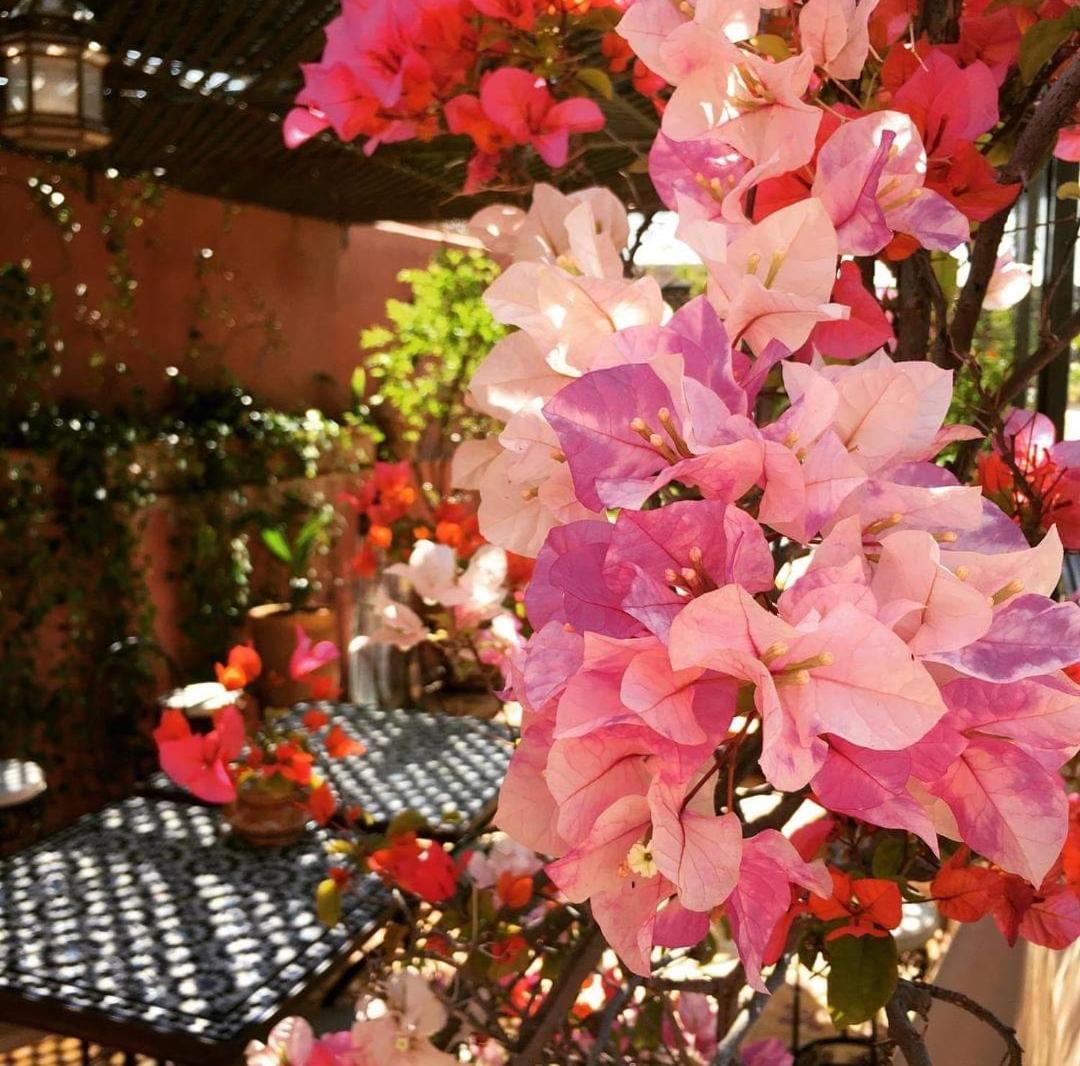 Riad Green Lotus Marrakesh Buitenkant foto
